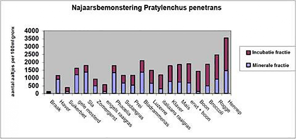 Figuur 1: In veel gewassen wordt het merendeel van de aaltjes in de incubatiefractie gevonden.
