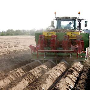 Behalve de 9 hectare in Malden, teelt akkerbouwbedrijf Wall elders nog zo'n 200 hectare aardappelen. Alle percelen liggen rond Nijmegen.