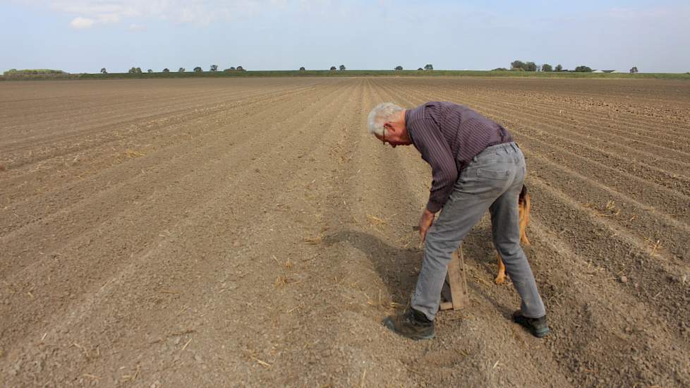 Begin september freesde Van Wieringen al zijn aardappelruggen op, om een extra bewerking in het voorjaar uit te sparen op zijn zware grond met een afslibbaarheidspercentage van 60 procent.