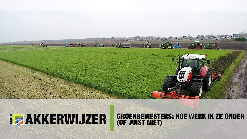 Groenbemesters: Hoe werk ik ze onder (of juist niet)