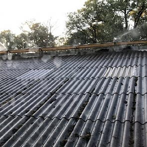 Melkveehoudster Ursula ter Brake (Achterhoek): "Sinds vorige week staan er watersproeiers (eigen water) op het dak van de koeienstal. Dit geeft, naast de ventilatoren, extra verkoeling in de stal. Het scheelt echt veel. Voorheen kwam er echt zo’n warmtego