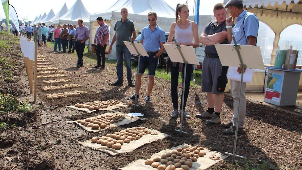 Er zijn opvallend veel Nederlandse bezoekers en standhouders. Alle vooraanstaande Nederlandse pootgoed handelshuizen geven acte de présence. De hoge Nederlandse opkomst is enerzijds toe te schrijven dat het evenement 15 kilometer over de grens bij Roermon