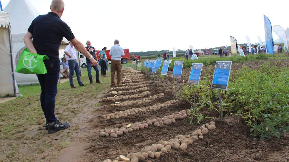 Tijdens de aardappeldag van Weuthen werden uiteraard nieuwe rassen gepresenteerd. Zo presenteerde het Duitse pootgoedhuis Solana haar nieuwe tafelaardappelras Lea. Dit ras is geschikt voor zowel de gangbare als de biologische teelt. Naast Lea werden ook M