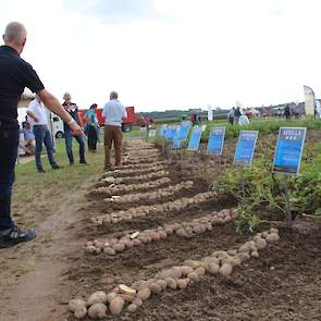 Tijdens de aardappeldag van Weuthen werden uiteraard nieuwe rassen gepresenteerd. Zo presenteerde het Duitse pootgoedhuis Solana haar nieuwe tafelaardappelras Lea. Dit ras is geschikt voor zowel de gangbare als de biologische teelt. Naast Lea werden ook M