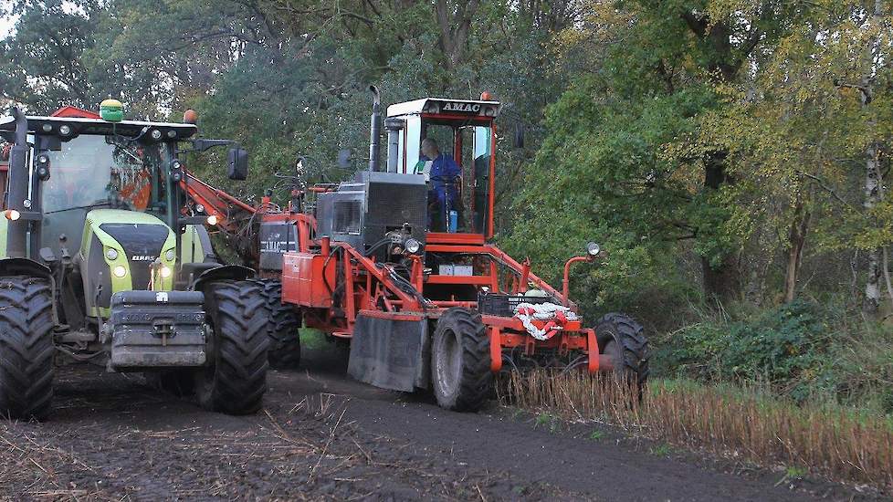 In de herfstmaanden zorgt de lelieoogst voor een arbeidspiek van ongeveer negen weken bij de Drentse leliebollenkweker.