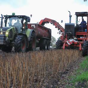 De bollenoogst is nog in volle gang.