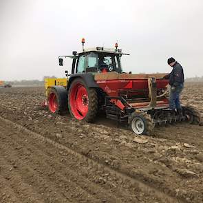 Deze uien zijn geplant met een Delta uienplanter van Warrens.