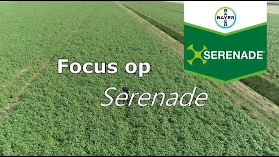 Serenade, een nieuwe kijk op gewasbescherming