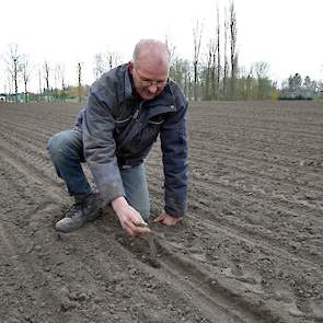 De vader van Lex Verbeek, Jos, checkt hoe het bietenzaad erbij ligt.