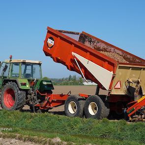 Overbeeke teelt in totaal 55 hectare pootgoed.