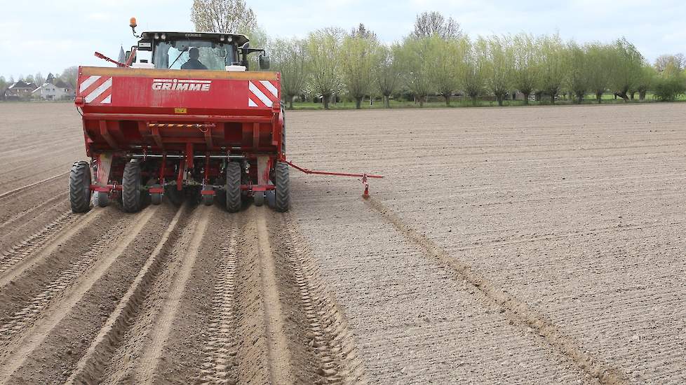 Mees draait op dit perceel in rivierklei en zand.  „Dat wisselt in dit gebied soms in hetzelfde perceel." Vooral op de zware klei was het vanwege de droogte tobben. „Er zijn stukken die we drie keer met de kopeg hebben bewerkt omdat alles betonhard was."