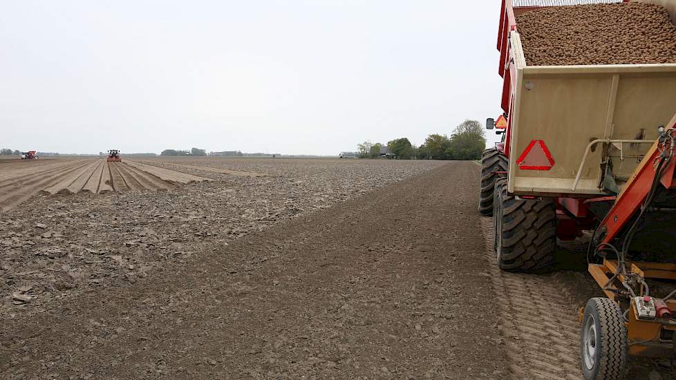 Deze vijf hectare is lichte zavel en redelijk vochtig door capillaire werking uit oude onderstromen, geeft Niels aan. De grondsoort wisselt sterk. Even verderop liggen percelen zware klei.