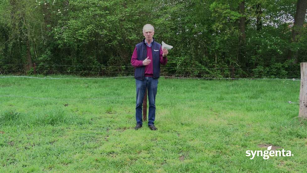 Kniptormonitoring Agriotus sordidus  met André ten Heggeler