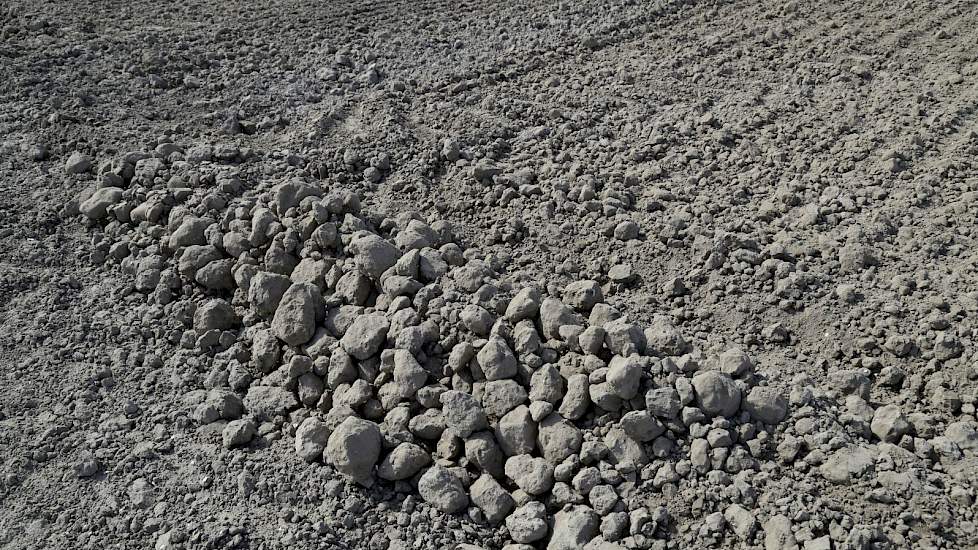 De droogte eist zijn tol. Niet lang nadat deze foto werd gemaakt, stopten Lodders en Breure-chauffeur Roelof Boekhoud met het werk. „Eerst volgende week beregenen, dan weer verder."