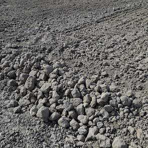 De droogte eist zijn tol. Niet lang nadat deze foto werd gemaakt, stopten Lodders en Breure-chauffeur Roelof Boekhoud met het werk. „Eerst volgende week beregenen, dan weer verder."