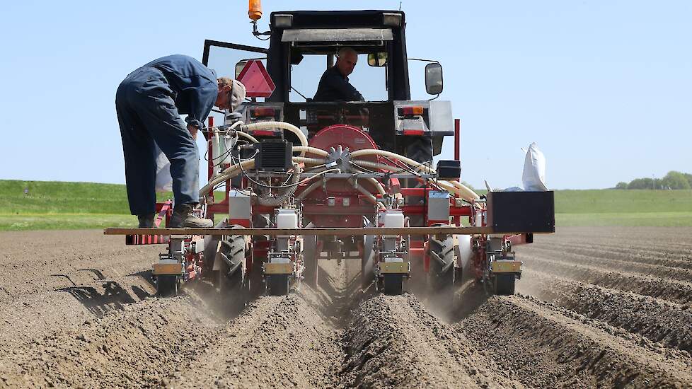 Nu: werken, rijden, zweten, wachten. Straks: koken, bakken, braden, frituren, garen of in stamppot, soep of  puree.