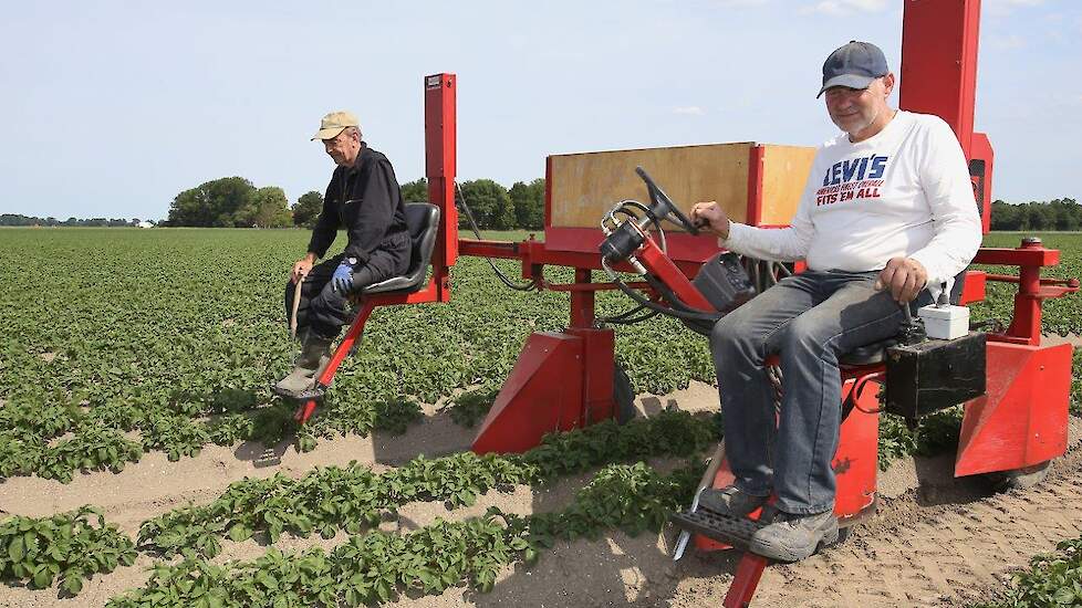 Het gaat om 10 hectare Evolution pootaardappelen, vertelt Jaap. Er staat ook Esmee en Agria op het land. Vorige week is er nog beregend.