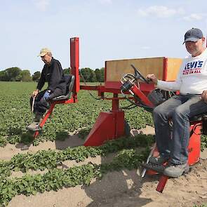 Het gaat om 10 hectare Evolution pootaardappelen, vertelt Jaap. Er staat ook Esmee en Agria op het land. Vorige week is er nog beregend.