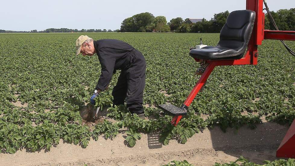 Claudia Stamm en Jaap Vermeer hebben een akkerbouwbedrijf in Swifterbant (FL). Het selecteren wordt gedaan door twee oud-collega's.