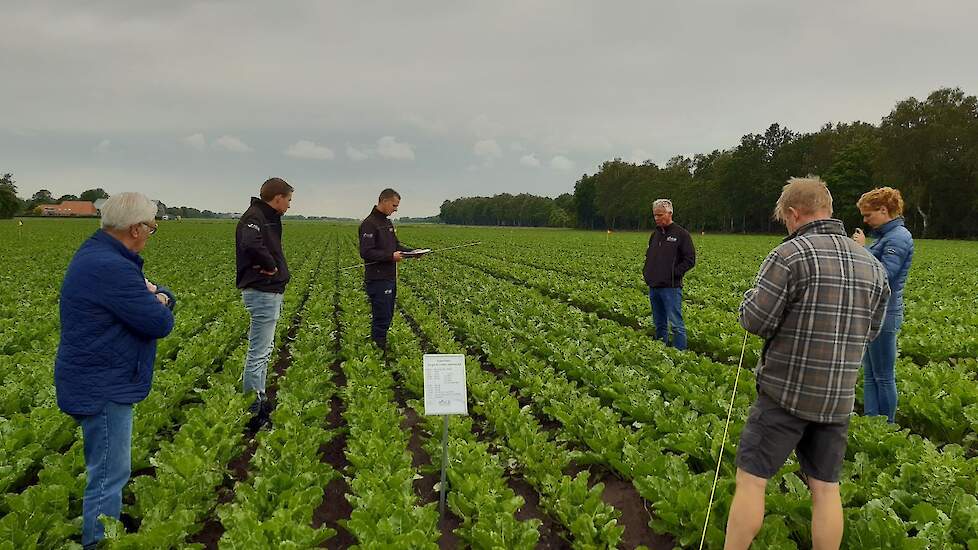 Ook in de suikerbieten geeft Horsting uitleg. Zijn ervaring tot nu toe is dat een herbicidereductie van 50 procent mogelijk moet zijn, 100 procent mechanisch is „een behoorlijke uitdaging.” Probleem is vooral dat onkruid gelijk opgroeit met de bieten. „Aa