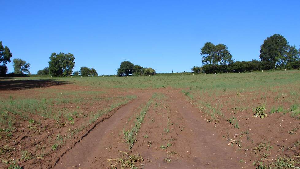 Akkerbouwer Jos Souren uit Simpelveld, eigenaar van dit perceel nabij Bosschenhuizen, vindt dat door zijn manier van werken de erosie tot een minimum beperkt is gebleven en ook weinig schade aan de uien is ontstaan. „In spuitsporen heeft het uiteraard wel