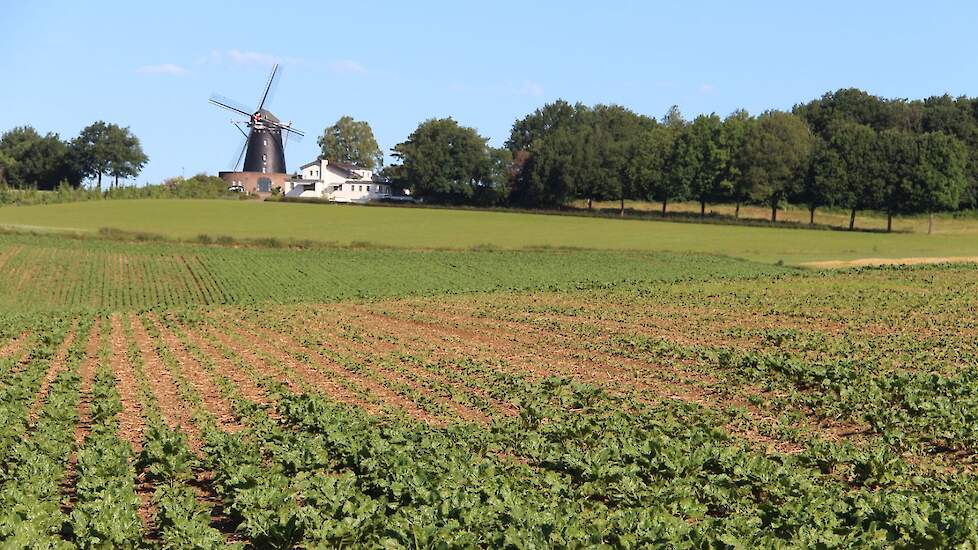 Ook sommige bietenpercelen kampten met erosieschade. Har Frenken, akkerbouwer en bestuurder van Waterschap Limburg, vindt dat door de manier van werken van de Zuid-Limburgse boeren de erosie tot een minimum beperkt is gebleven vrijdagnacht. „De buien word