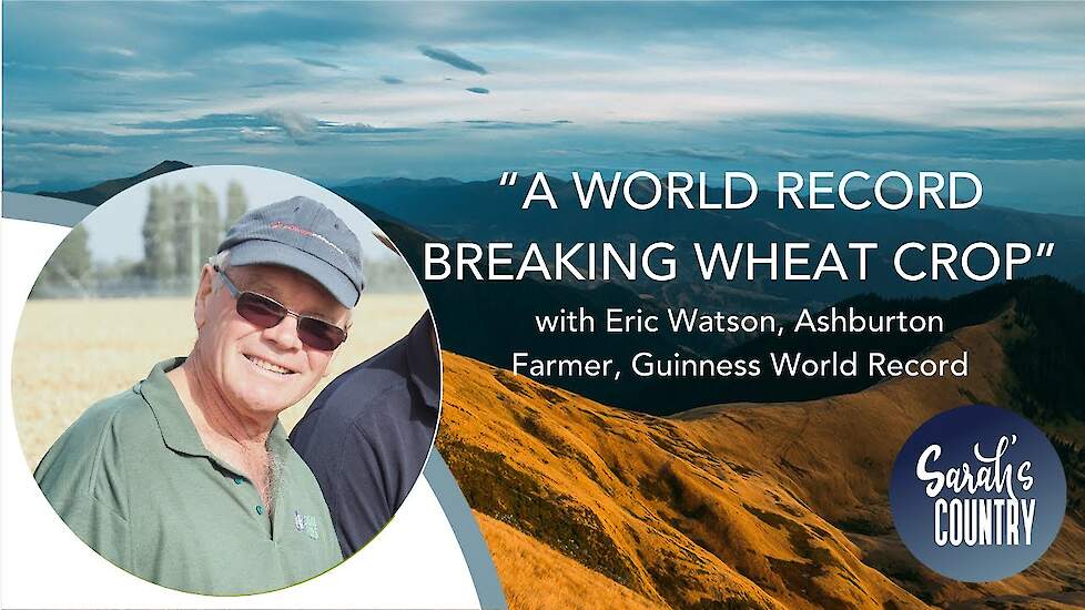 “A World Record Breaking wheat crop ” with Eric Watson, Ashburton Farmer, Guinness World Record