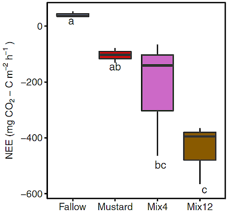 Netto koolstof (C) verandering. Bij braak (fallow) gaat koolstof verloren. Bij het soortenrijke Mix12 wordt gemiddeld meer koolstof vastgelegd dan bij Mix4 en gele mosterd (mustard). De kleine letters geven de significantie weer (p < 0,01)