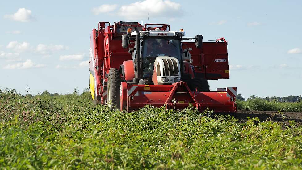 Mensen is parttime akkerbouwer en had dit jaar 4 hectare Seresta's staan, een kwart van het areaal.