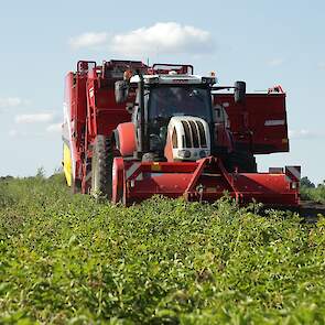 Mensen is parttime akkerbouwer en had dit jaar 4 hectare Seresta's staan, een kwart van het areaal.