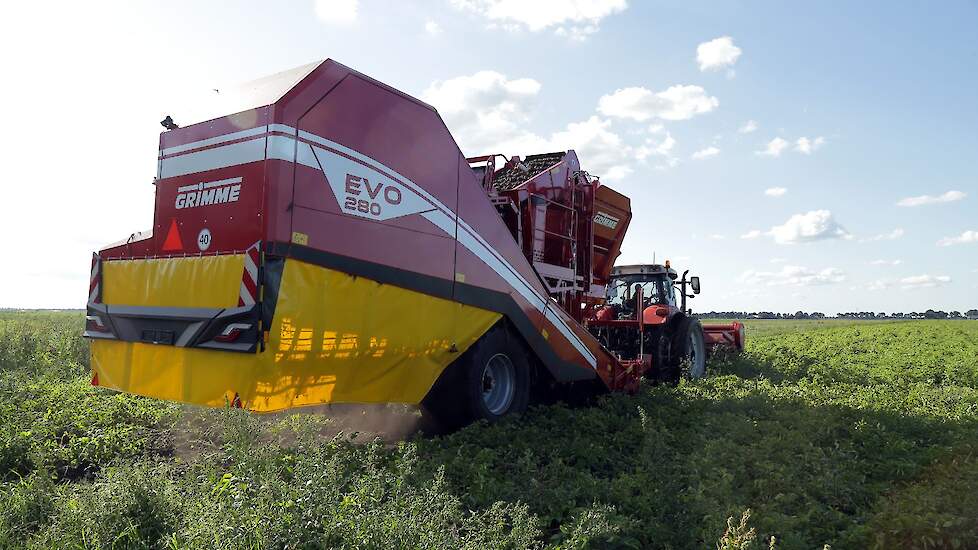 Er kwam gemiddeld 43 ton van een hectare. Mensen is tevreden, zeker gezien het moeilijke groeiseizoen. Hij beregende zijn aardappelen, op dalgrond, drie keer. „Anders was er helemaal niets van terechtgekomen."