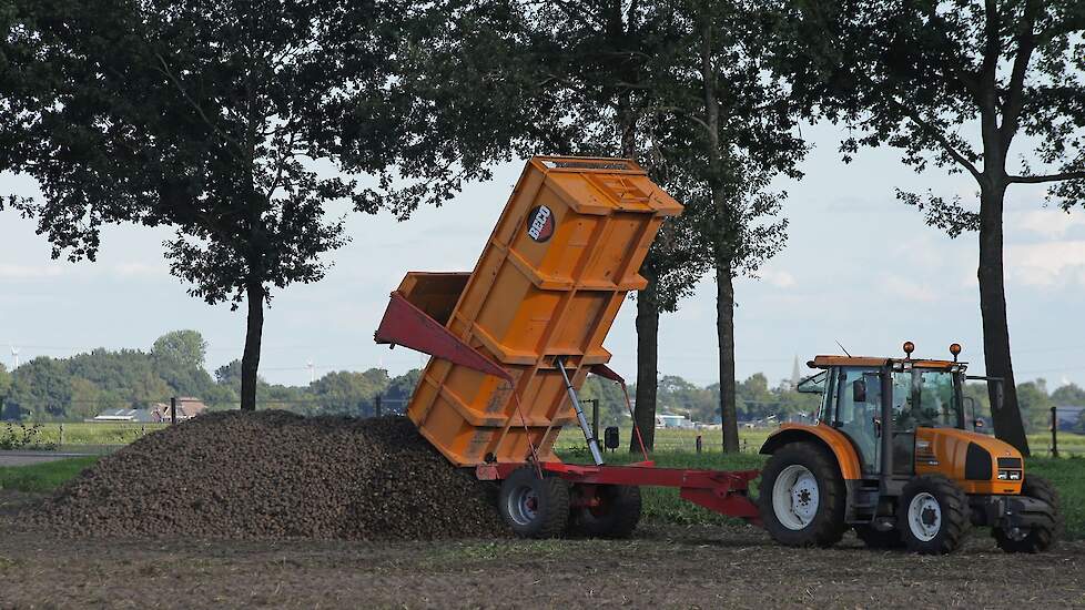 Hier kiept mensen zijn aardappelen aan de hoop. Ze zijn inmiddels donderdag al weer opgeladen door en voor Avebe. Het bedrijf startte de aardappelcampagne 17 augustus en gaat naar verwachting daarmee door tot eind april volgend jaar.