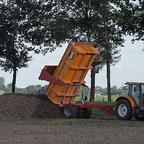 Hier kiept mensen zijn aardappelen aan de hoop. Ze zijn inmiddels donderdag al weer opgeladen door en voor Avebe. Het bedrijf startte de aardappelcampagne 17 augustus en gaat naar verwachting daarmee door tot eind april volgend jaar.