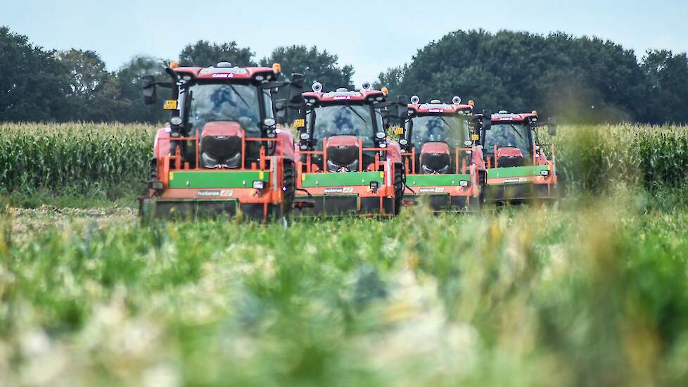 Timmerman teelt in totaal 20 hectare zaaiuien en 11 hectare eerstejaars plantuien. Een deel van de zaaiuien teelt hij vrij. Deze gaan na de oogst de bewaring in. De uien zijn in het weekeinde gerooid. Naar verwachting worden ze vandaag geladen en vervoerd