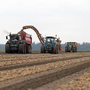 Blitterswijk heeft de uien af land verkocht voor een, naar eigen zeggen, redelijke prijs.