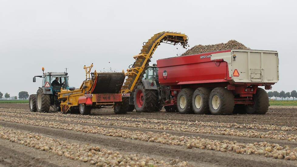 Blitterswijk is tevreden over de opbrengst, hij verwacht ruim 60 ton netto per hectare. Maar daar is veel werk voor verzet. „Ze zijn flink beregend, ik denk dat ik alle uien gemiddeld zes tot acht keer heb gehad.” En die teeltkosten zouden eigenlijk verre