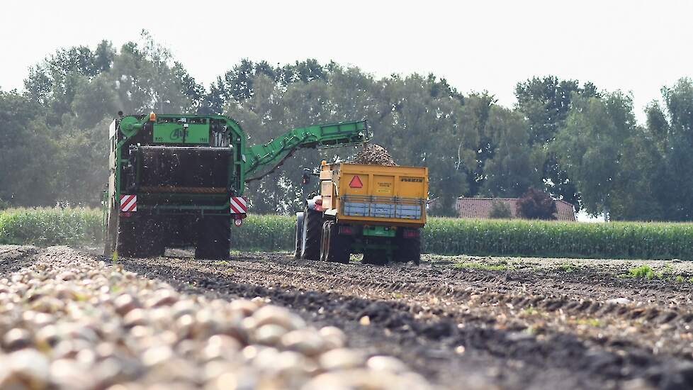 De omstandigheden voor het uienladen waren prima.