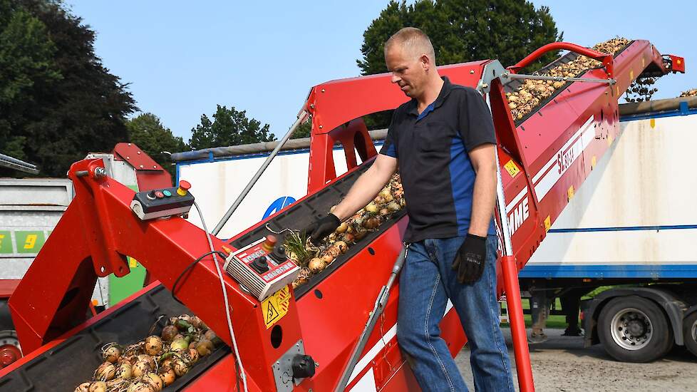 Timmerman is tevreden over de kwaliteit van de uien. Ze zijn 23 maart gezaaid. Grote uitdaging bij zijn uienteelt is het vinden van voldoende schone grond.