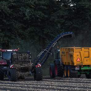 Hier laadt Haaijer in de schemering zijn eigen uien van het ras Vento. De loonwerker teelt zelf 28 hectare uien. Het is het twaalfde seizoen dat hij uien teelt.