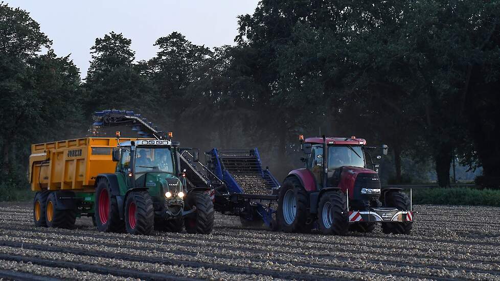 Haaijer teelt zijn uien deels vrij, deels op contract.