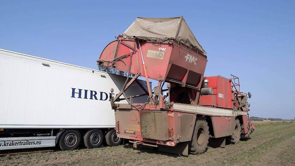 De sperzieboontjes gaan af land gelijk naar de verwerker. Van Rijsingen Source (het vroegere Rijko) verzorgt alles van zaai tot oogst.