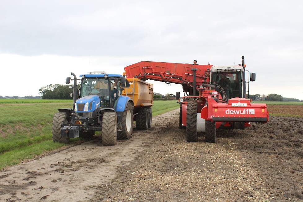 Zandee rooit dit jaar zo'n 16 hectare aardappelen op zijn eigen bedrijf en rond de 20 bij de buren. In totaal laadt hij 15 hectare uien.