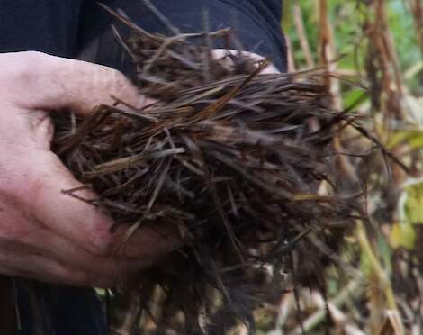 Natuurgrascompost