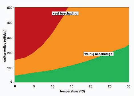 Verband tussen suikerverliezen en temperatuur bij veel en weinig beschadigde bieten (in de hoop).