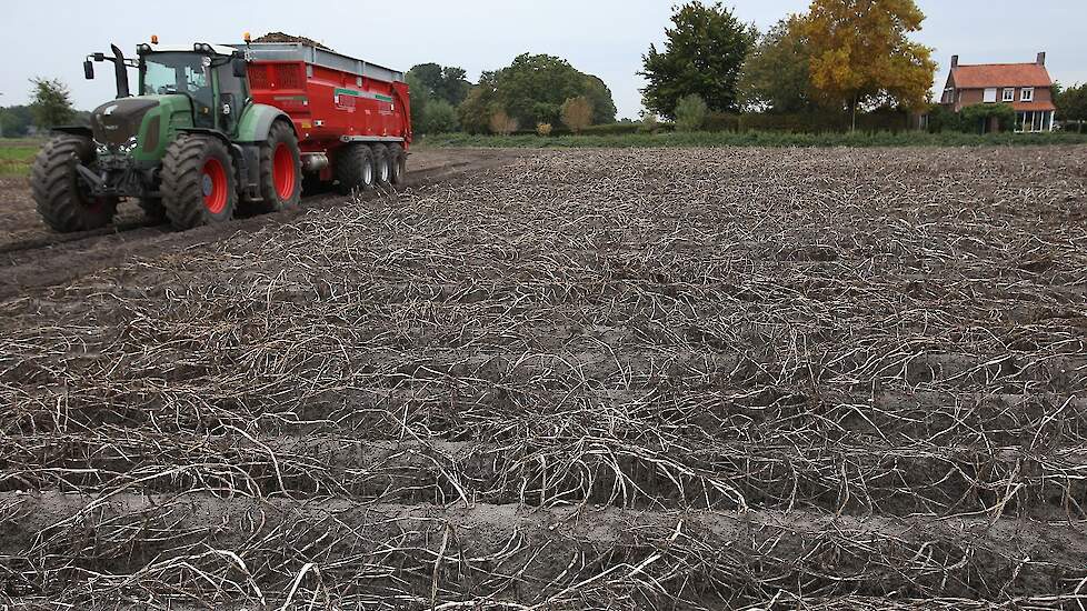 De opbrengst valt dit jaar zwaar tegen; Den Brok oogst zo’n 46 ton per hectare. Normaal zit hij met de Fontanes rond 60 ton. De teler wijt de lage opbrengst aan de droogte en de verschroeiende hitte in de laatste periode van de zomer. „We hebben de aardap