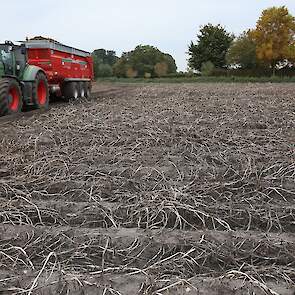 De opbrengst valt dit jaar zwaar tegen; Den Brok oogst zo’n 46 ton per hectare. Normaal zit hij met de Fontanes rond 60 ton. De teler wijt de lage opbrengst aan de droogte en de verschroeiende hitte in de laatste periode van de zomer. „We hebben de aardap