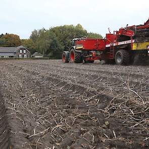 De prijs voor Fontane zit op net iets meer dan 3 euro per 100 kilo, terwijl de kostprijs op een tientje ligt. „Daar word je niet blij van.” Ondanks de ongunstige marktsituatie rijdt hij de vrije aardappelen wel de schuur in. „Ik heb er nog geen koper voor