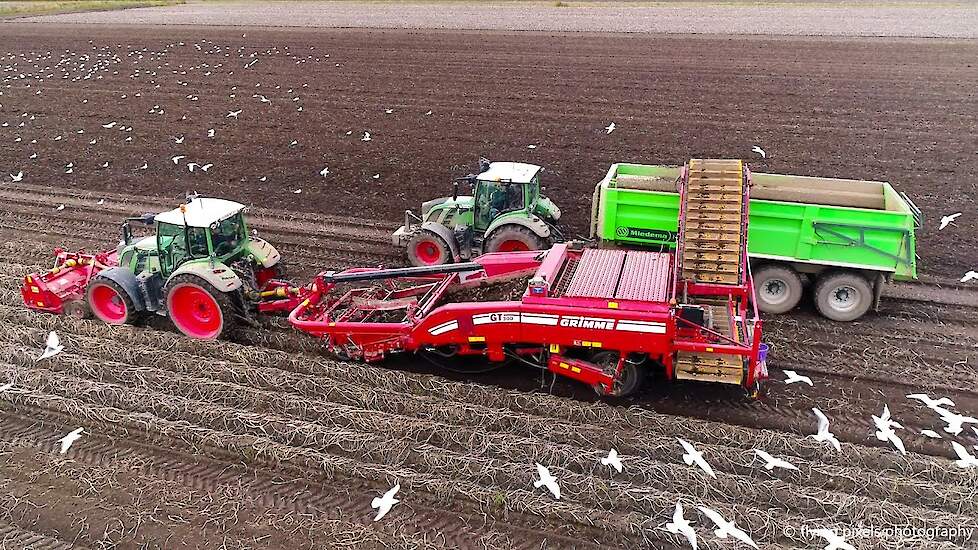 Aardappels rooien | Potato harvest | Kartoffelernte | Grimme | Fendt | Miedema | Lemken | Oogst 2020