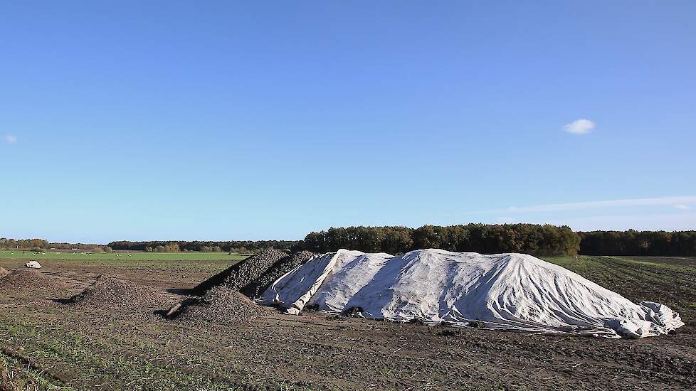 De aardappelen worden in december geladen voor verwerking bij Avebe.