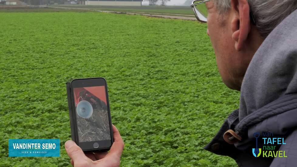 Groenbemesters beoordelen in Flevoland!